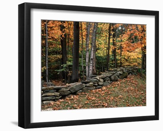 Stone Fence in Vermont, USA-Charles Sleicher-Framed Premium Photographic Print