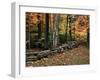 Stone Fence in Vermont, USA-Charles Sleicher-Framed Premium Photographic Print