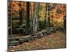 Stone Fence in Vermont, USA-Charles Sleicher-Mounted Premium Photographic Print