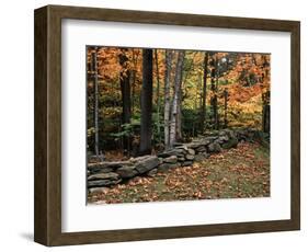 Stone Fence in Vermont, USA-Charles Sleicher-Framed Photographic Print