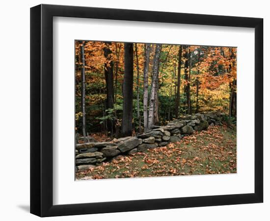 Stone Fence in Vermont, USA-Charles Sleicher-Framed Photographic Print