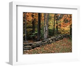 Stone Fence in Vermont, USA-Charles Sleicher-Framed Photographic Print