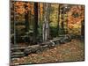Stone Fence in Vermont, USA-Charles Sleicher-Mounted Photographic Print