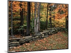 Stone Fence in Vermont, USA-Charles Sleicher-Mounted Photographic Print