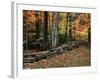 Stone Fence in Vermont, USA-Charles Sleicher-Framed Photographic Print