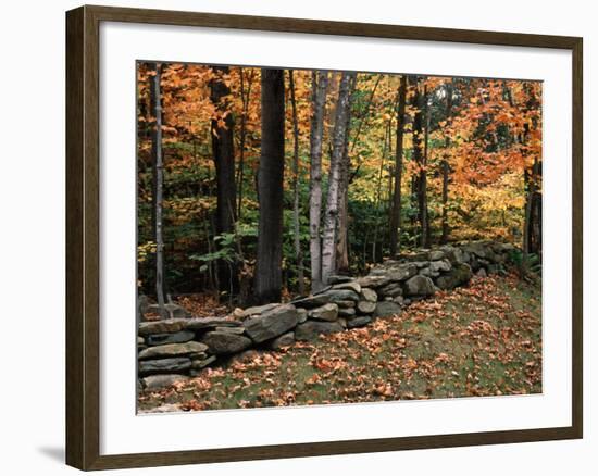 Stone Fence in Vermont, USA-Charles Sleicher-Framed Photographic Print