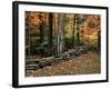 Stone Fence in Vermont, USA-Charles Sleicher-Framed Photographic Print