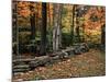 Stone Fence in Vermont, USA-Charles Sleicher-Mounted Photographic Print