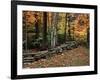 Stone Fence in Vermont, USA-Charles Sleicher-Framed Photographic Print