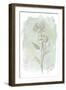Stone Flower Study II-June Vess-Framed Art Print