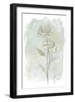 Stone Flower Study II-June Vess-Framed Art Print