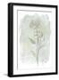 Stone Flower Study II-June Vess-Framed Art Print