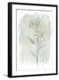 Stone Flower Study II-June Vess-Framed Art Print