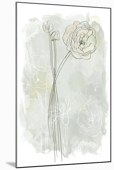 Stone Flower Study III-June Vess-Mounted Art Print