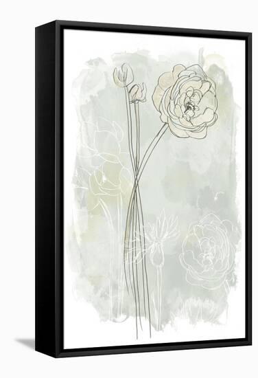 Stone Flower Study III-June Vess-Framed Stretched Canvas