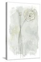 Stone Flower Study III-June Vess-Stretched Canvas