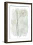 Stone Flower Study III-June Vess-Framed Art Print