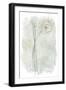 Stone Flower Study III-June Vess-Framed Art Print