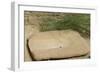 Stone for Grinding Corn Pueblo Bonito, Anasazi/Ancestral Puebloan Site in Chaco Canyon, New Mexico-null-Framed Photographic Print