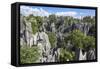 Stone Forest National Park in Yunnan Province-ImpakPro-Framed Stretched Canvas