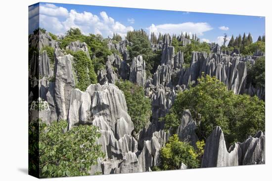 Stone Forest National Park in Yunnan Province-ImpakPro-Stretched Canvas