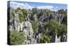 Stone Forest National Park in Yunnan Province-ImpakPro-Stretched Canvas