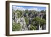 Stone Forest National Park in Yunnan Province-ImpakPro-Framed Photographic Print