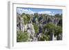 Stone Forest National Park in Yunnan Province-ImpakPro-Framed Photographic Print