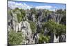 Stone Forest National Park in Yunnan Province-ImpakPro-Mounted Photographic Print