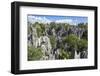 Stone Forest National Park in Yunnan Province-ImpakPro-Framed Photographic Print