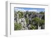 Stone Forest National Park in Yunnan Province-ImpakPro-Framed Photographic Print