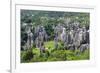 Stone Forest National Park in Yunnan Province-ImpakPro-Framed Photographic Print