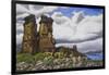 Stone Forest-Luis Aguirre-Framed Giclee Print