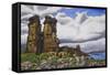 Stone Forest-Luis Aguirre-Framed Stretched Canvas