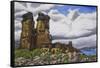 Stone Forest-Luis Aguirre-Framed Stretched Canvas