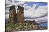 Stone Forest-Luis Aguirre-Stretched Canvas