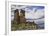 Stone Forest-Luis Aguirre-Framed Giclee Print