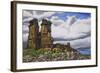 Stone Forest-Luis Aguirre-Framed Giclee Print