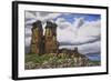 Stone Forest-Luis Aguirre-Framed Giclee Print