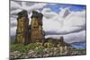 Stone Forest-Luis Aguirre-Mounted Giclee Print