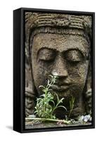 Stone Garden Statue with Flower-Matt Freedman-Framed Stretched Canvas