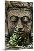 Stone Garden Statue with Flower-Matt Freedman-Mounted Premium Photographic Print
