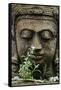 Stone Garden Statue with Flower-Matt Freedman-Framed Stretched Canvas