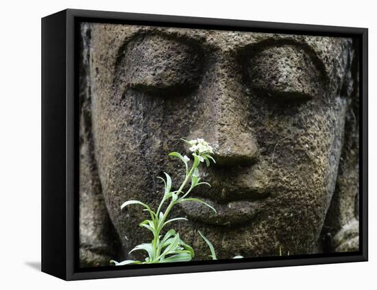 Stone Garden Statue with Flower-Matt Freedman-Framed Stretched Canvas