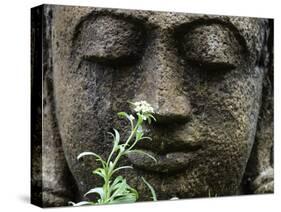 Stone Garden Statue with Flower-Matt Freedman-Stretched Canvas