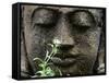 Stone Garden Statue with Flower-Matt Freedman-Framed Stretched Canvas