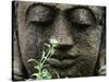 Stone Garden Statue with Flower-Matt Freedman-Stretched Canvas