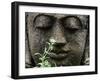 Stone Garden Statue with Flower-Matt Freedman-Framed Photographic Print