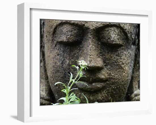 Stone Garden Statue with Flower-Matt Freedman-Framed Photographic Print