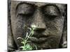 Stone Garden Statue with Flower-Matt Freedman-Mounted Photographic Print